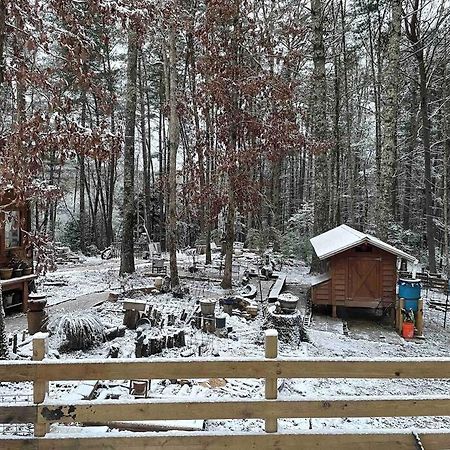 Beautiful & Peaceful Cabin W/ Deck Garden & Fire-Pit 墨菲 外观 照片
