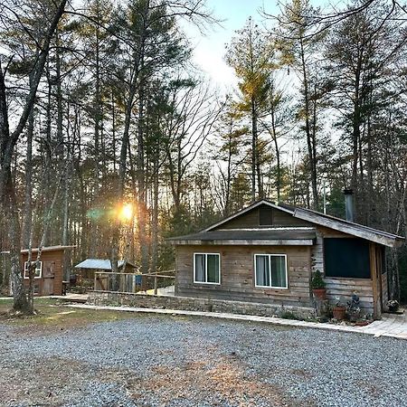 Beautiful & Peaceful Cabin W/ Deck Garden & Fire-Pit 墨菲 外观 照片