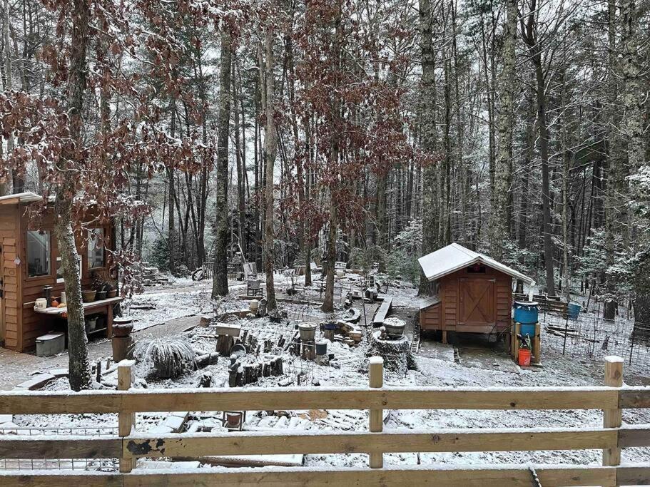 Beautiful & Peaceful Cabin W/ Deck Garden & Fire-Pit 墨菲 外观 照片