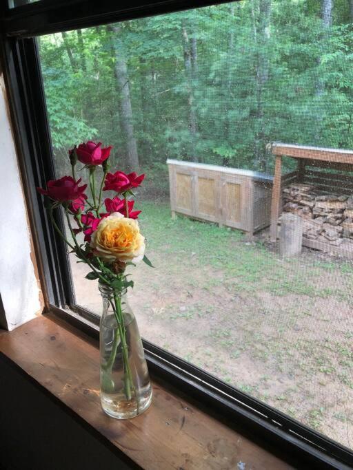 Beautiful & Peaceful Cabin W/ Deck Garden & Fire-Pit 墨菲 外观 照片